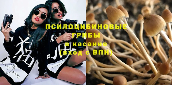 ГАЛЛЮЦИНОГЕННЫЕ ГРИБЫ Баксан