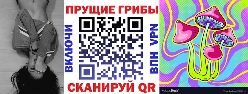 как найти закладки  МЕГА tor  Галлюциногенные грибы Magic Shrooms  Кимовск 